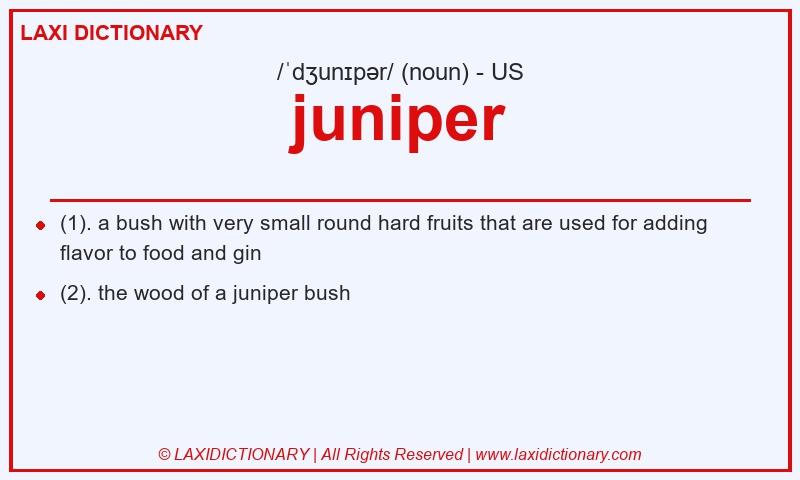 Definition juniper in American English