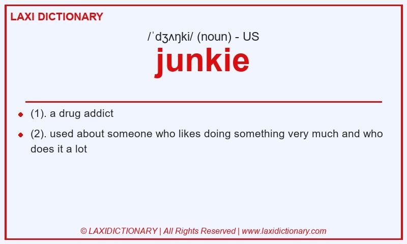 Definition junkie in American English