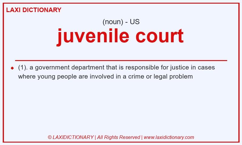 Definition juvenile court in American English
