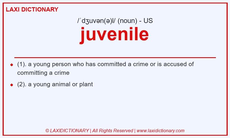 Definition juvenile in American English