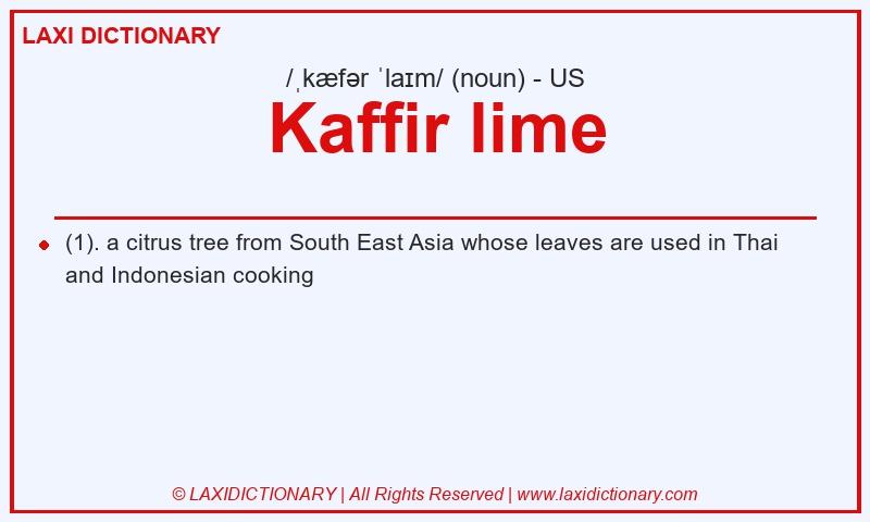 Definition Kaffir lime in American English