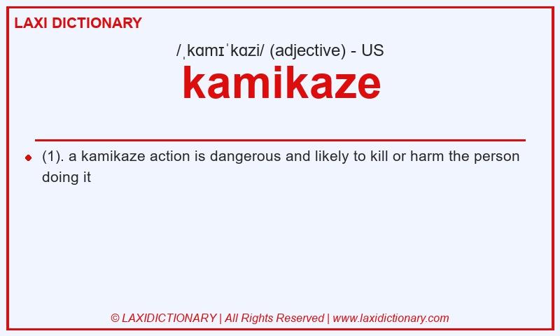 Definition kamikaze in American English