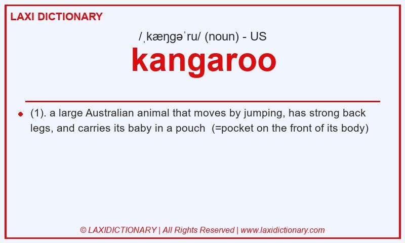 Definition kangaroo in American English