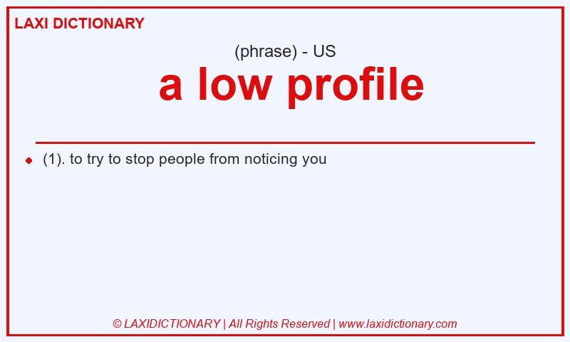 Definition  a low profile in American English