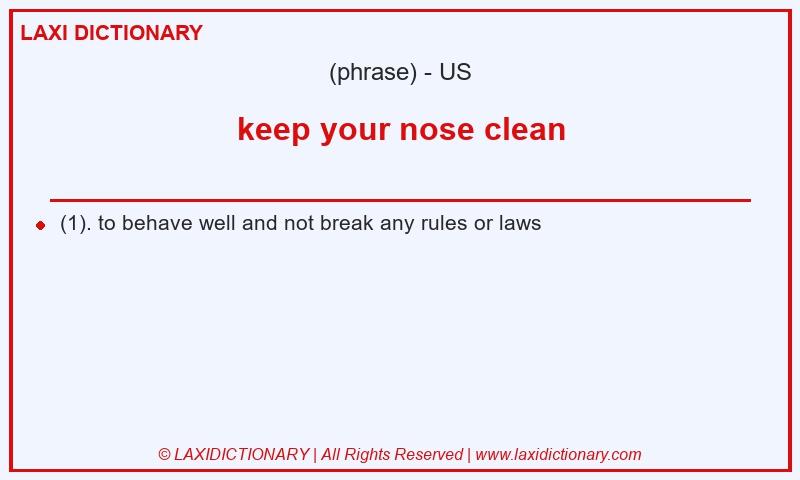 Definition keep your nose clean in American English