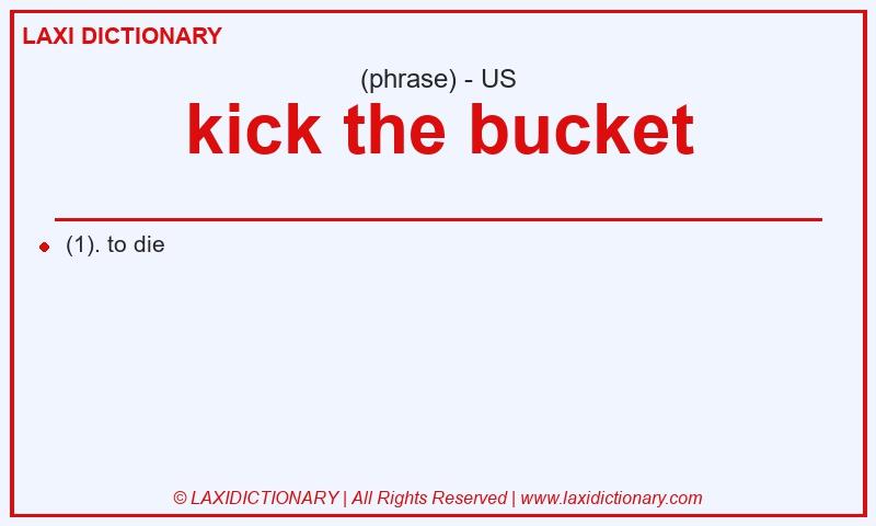 Definition kick the bucket in American English
