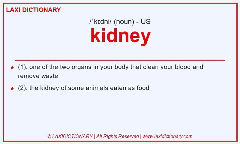 Definition kidney in American English