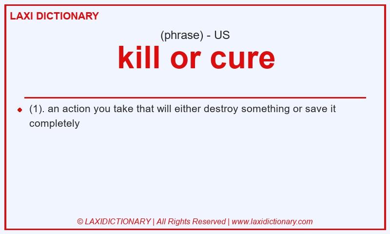 Definition kill or cure in American English