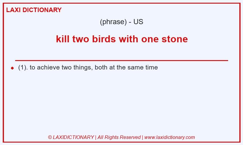 Definition kill two birds with one stone in American English