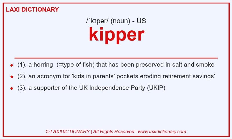 Definition kipper in American English