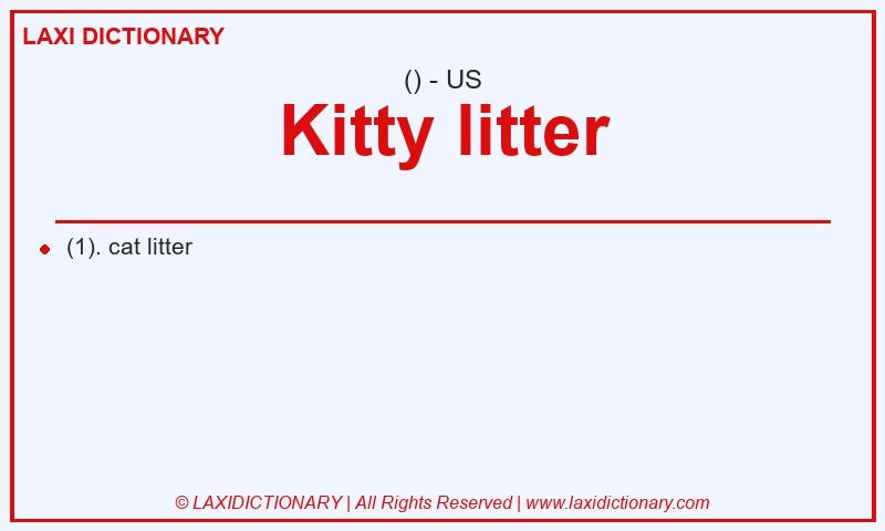 Definition Kitty litter in American English