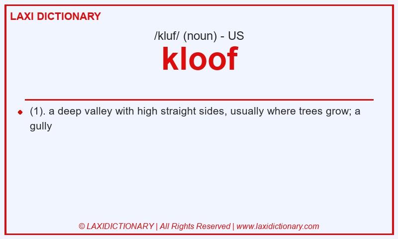 Definition kloof in American English