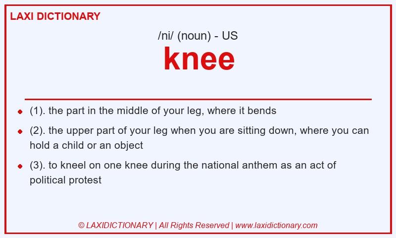 Definition knee in American English