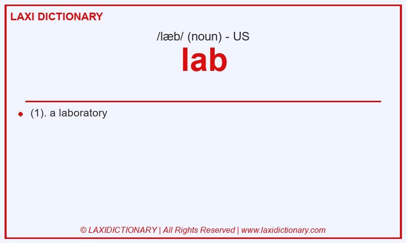 Definition lab in American English