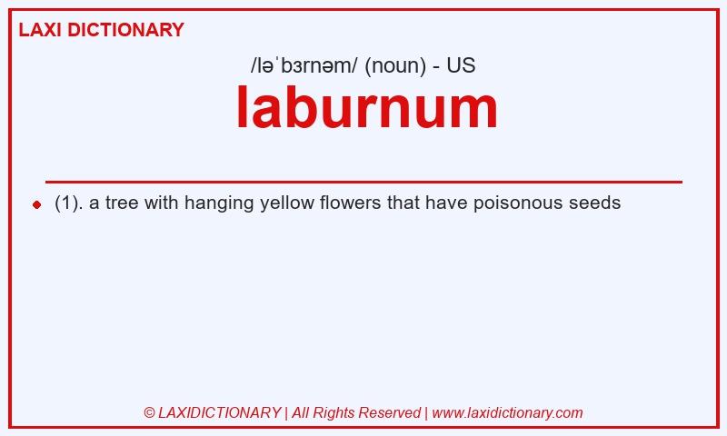 Definition laburnum in American English