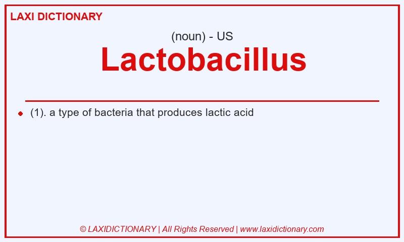 Definition Lactobacillus in American English