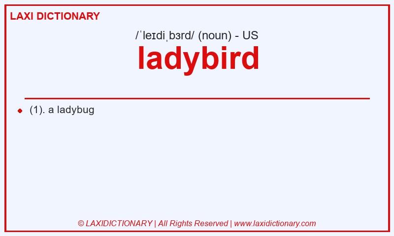 Definition ladybird in American English