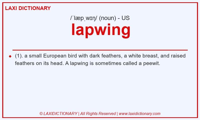 Definition lapwing in American English