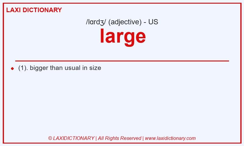 Definition large in American English