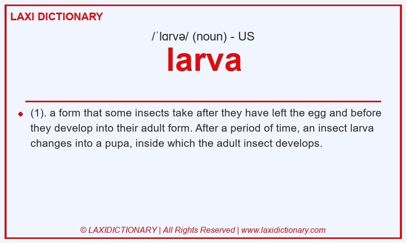 Definition larva in American English