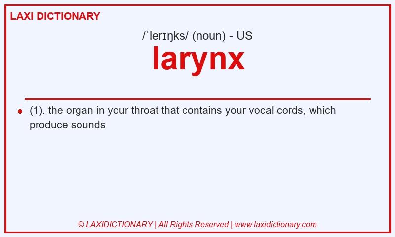 Definition larynx in American English