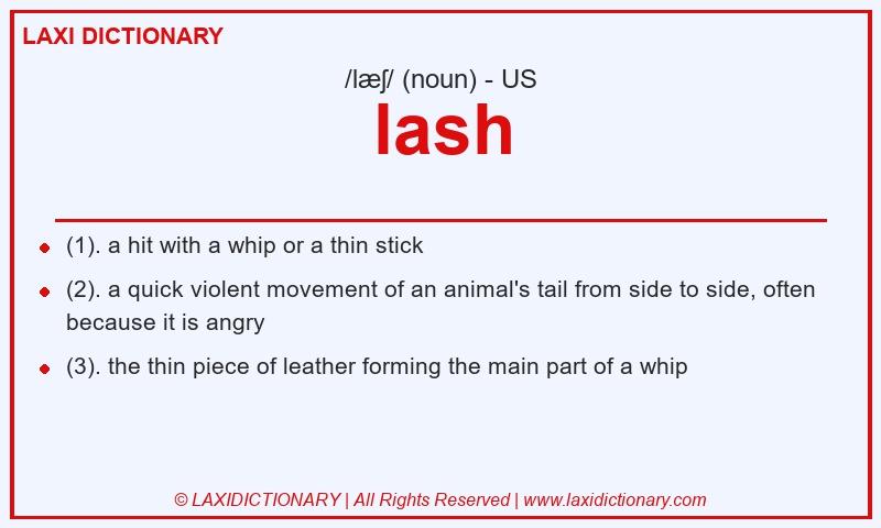 Definition lash in American English