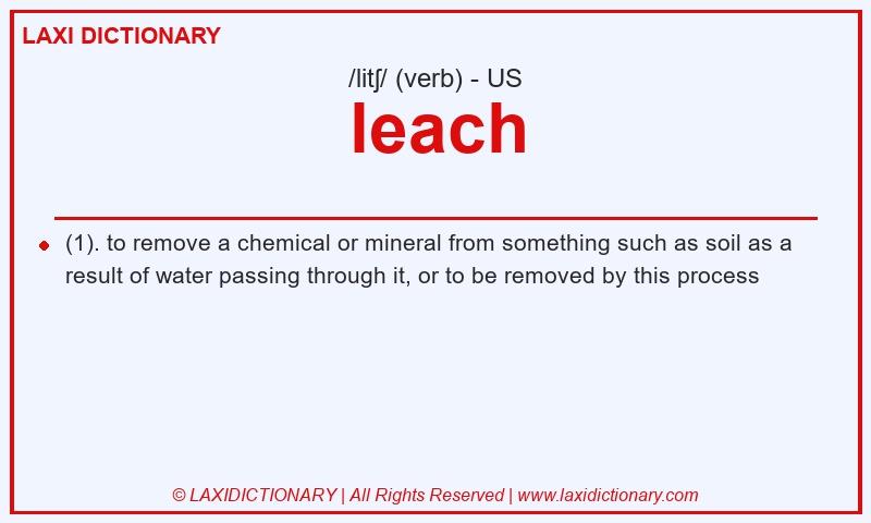 Definition leach in American English