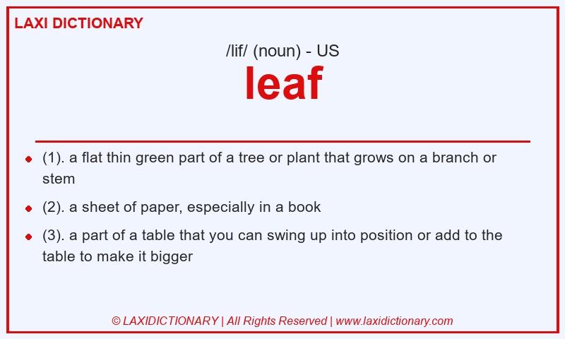 Definition leaf in American English