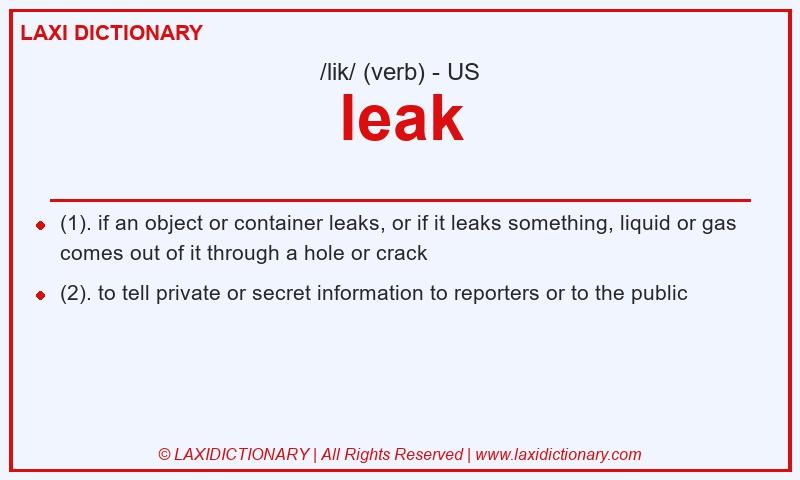 Definition leak in American English