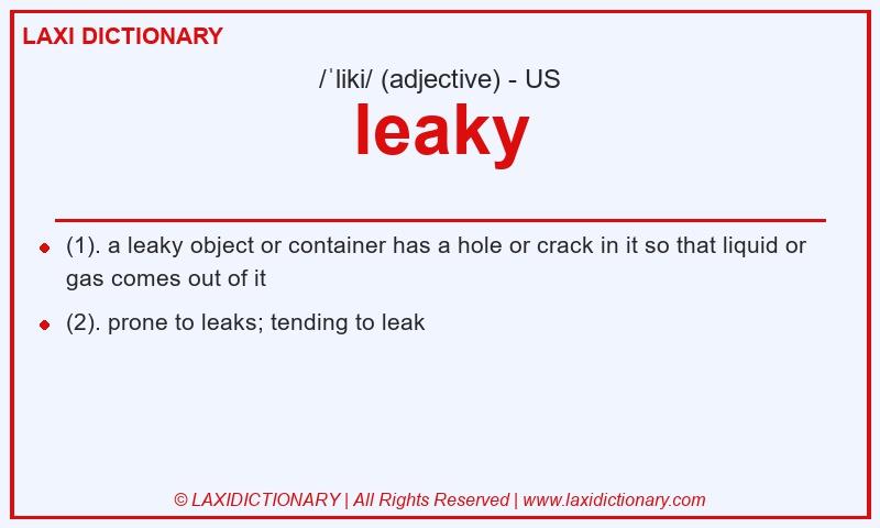 Definition leaky in American English