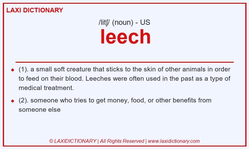 Definition leech in American English