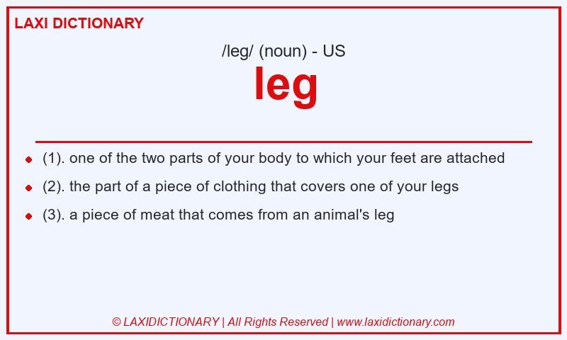 Definition leg in American English