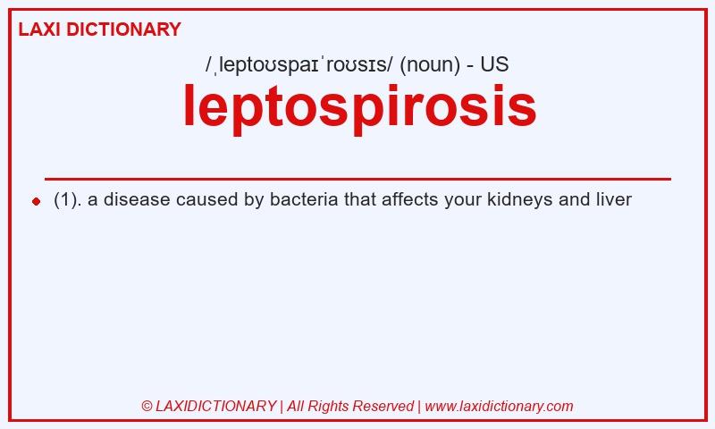 Definition leptospirosis in American English