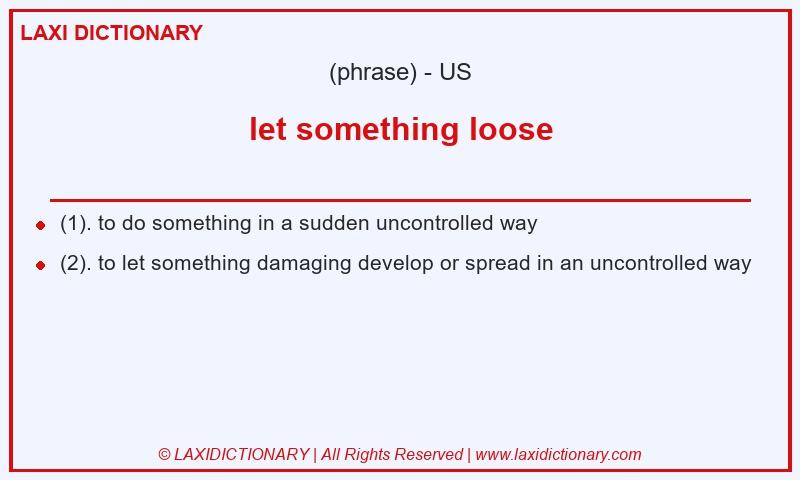 Definition let something loose in American English