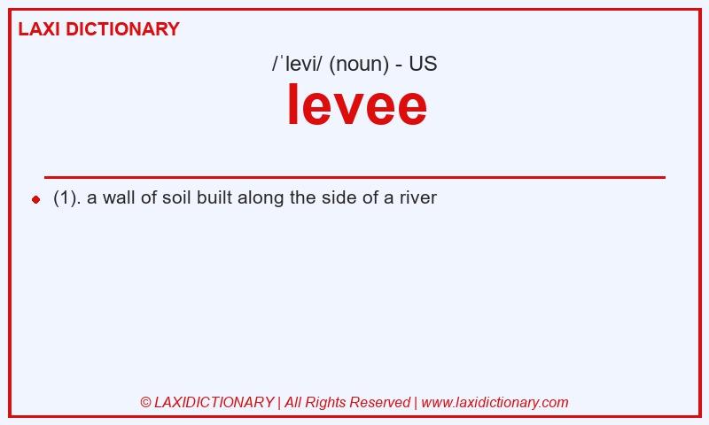 Definition levee in American English