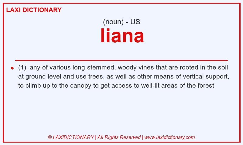Definition liana in American English