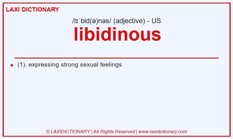 Definition libidinous in American English