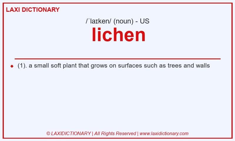 Definition lichen in American English