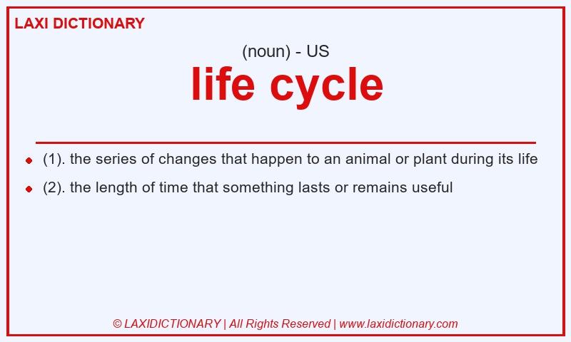 Definition life cycle in American English