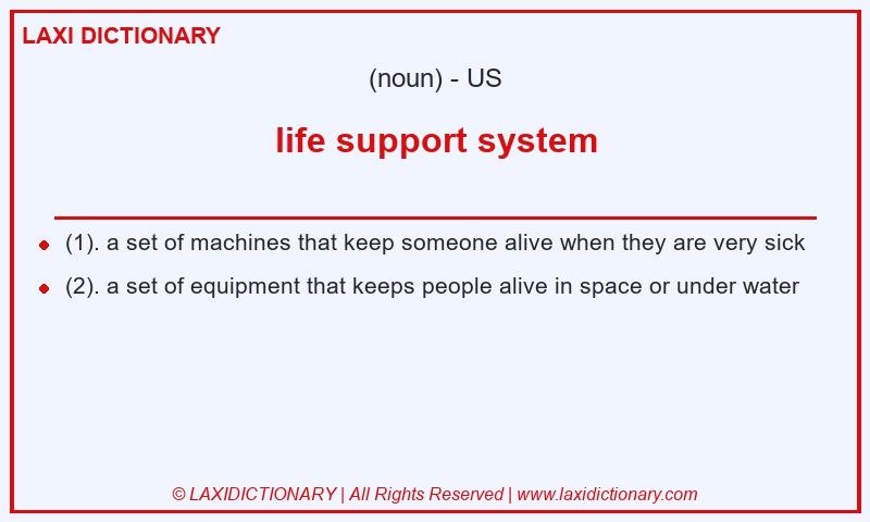 Definition life support system in American English