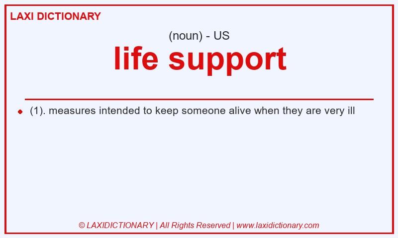 Definition life support in American English