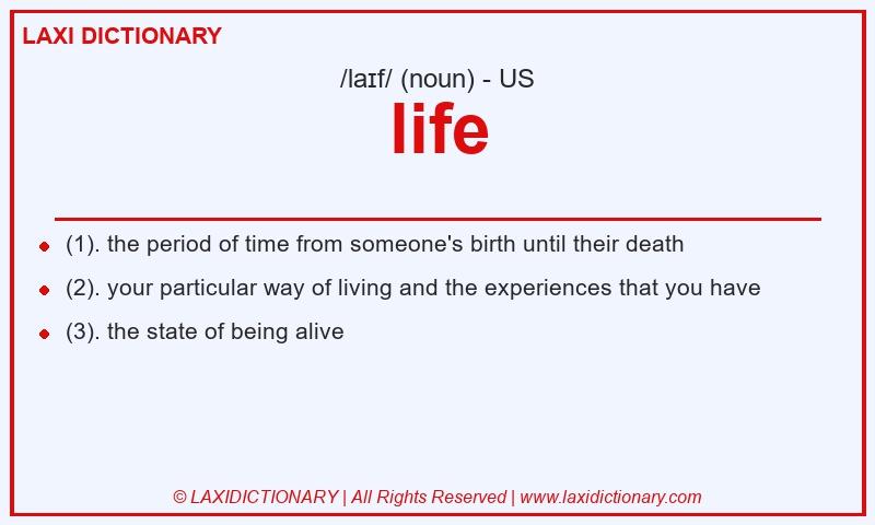 Definition life in American English