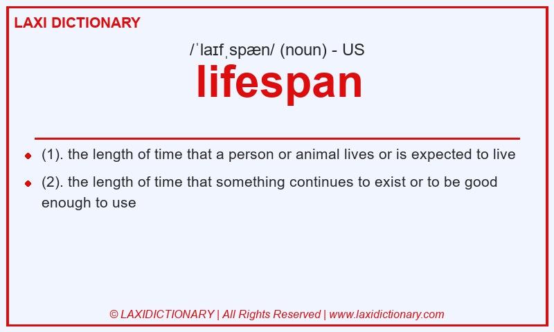 Definition lifespan in American English