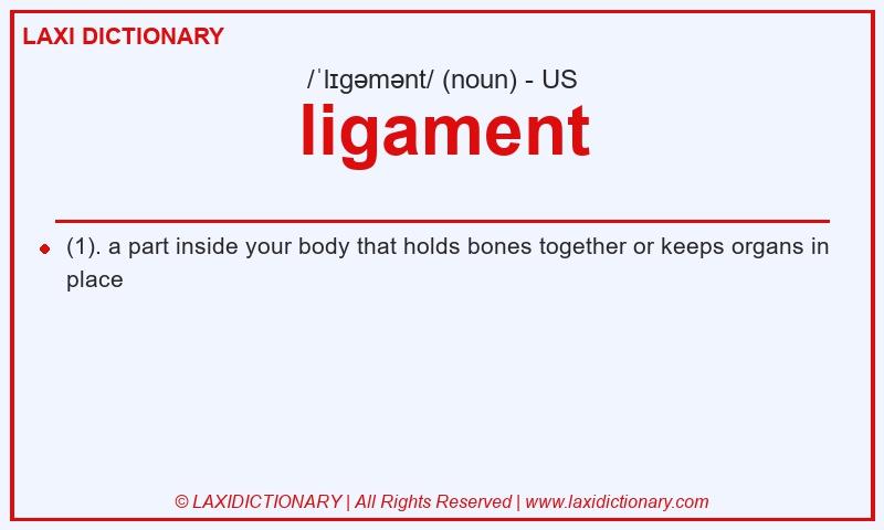 Definition ligament in American English