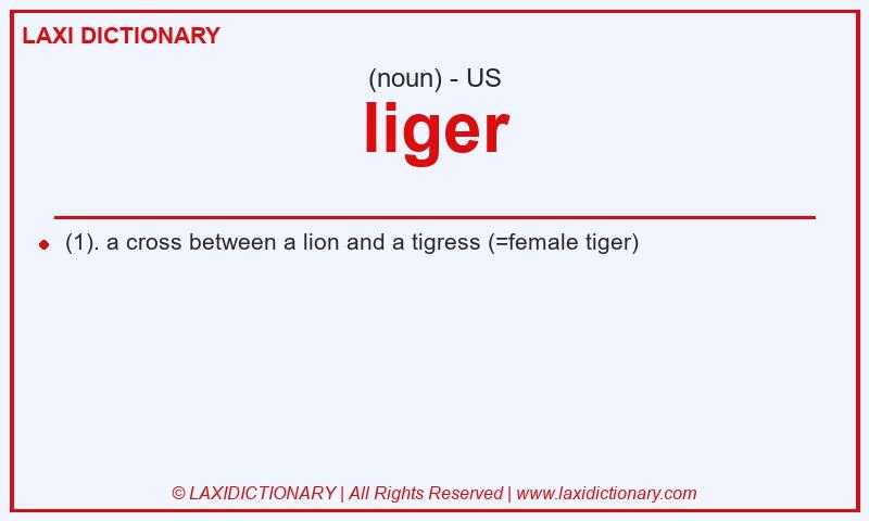 Definition liger in American English