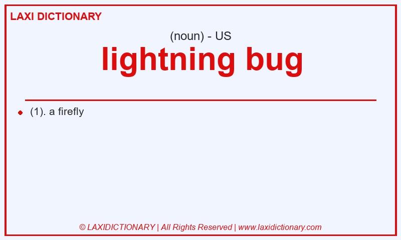 Definition lightning bug in American English
