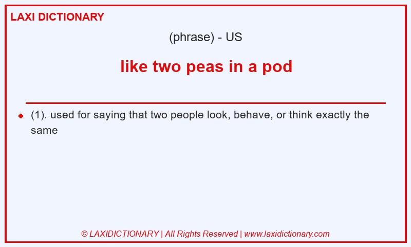 Definition like two peas in a pod in American English