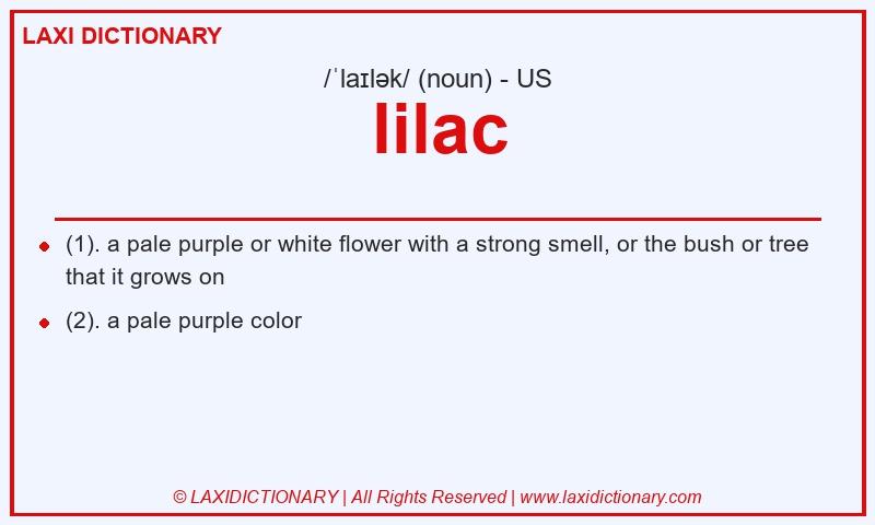 Definition lilac in American English