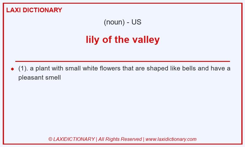 Definition lily of the valley in American English