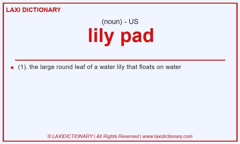 Definition lily pad in American English